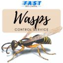 Wasp Removal Brisbane logo